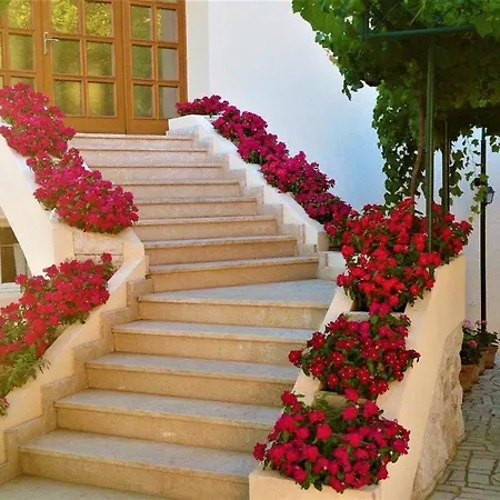 Apartamento Natalija 1 *